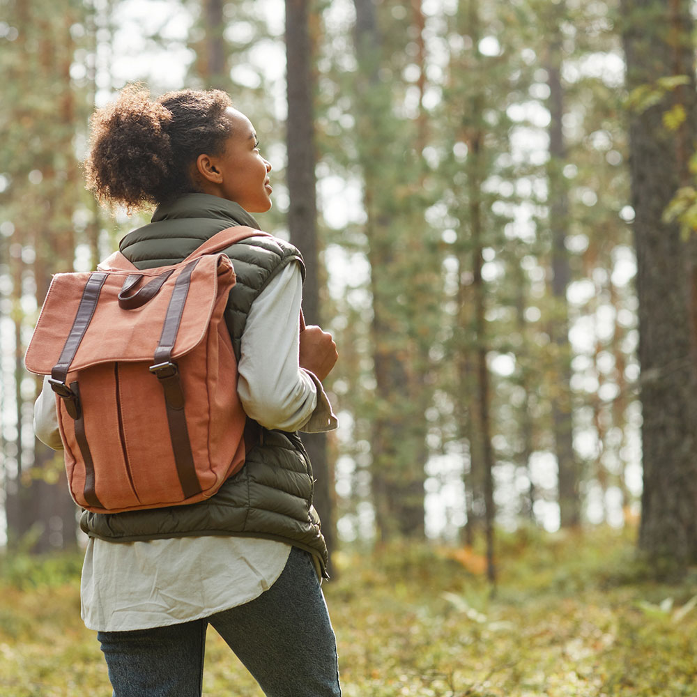 woman hiker looking up into the beautiful sunny forest, she stands in front of a row of pines