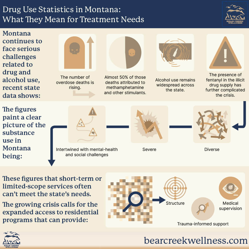 Drug Use Statistics in Montana: What They Mean for Treatment Needs
