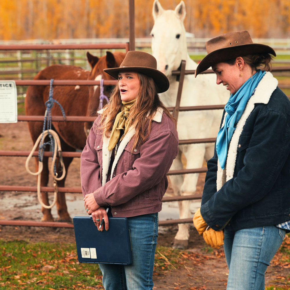 Equine Therapy Program Montana