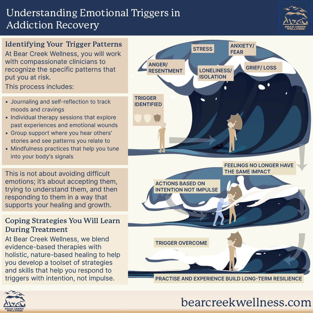 Understanding Emotional Triggers in Addiction Recovery Infographic
