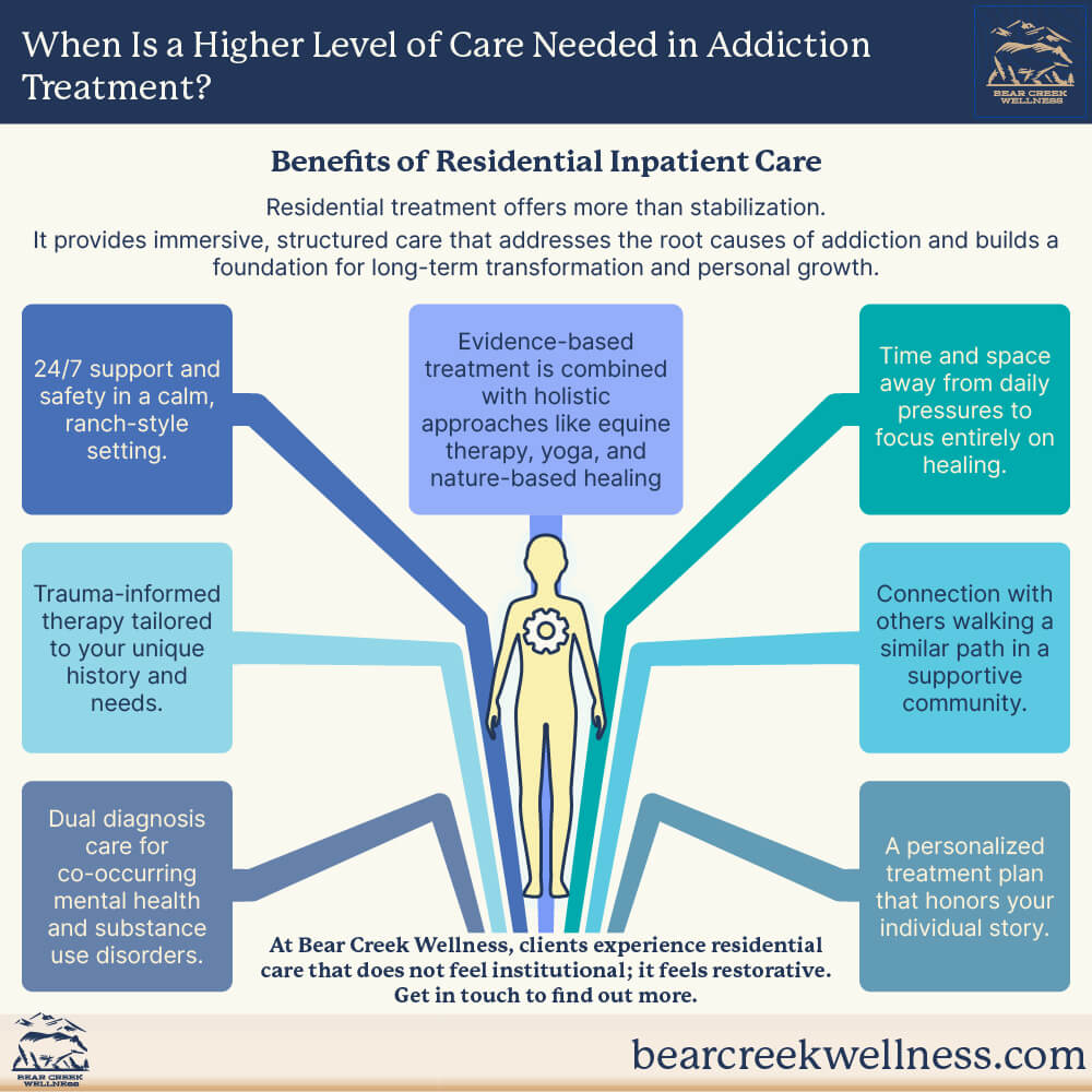 When Is a Higher Level of Care Needed in Addiction Treatment? Infographic